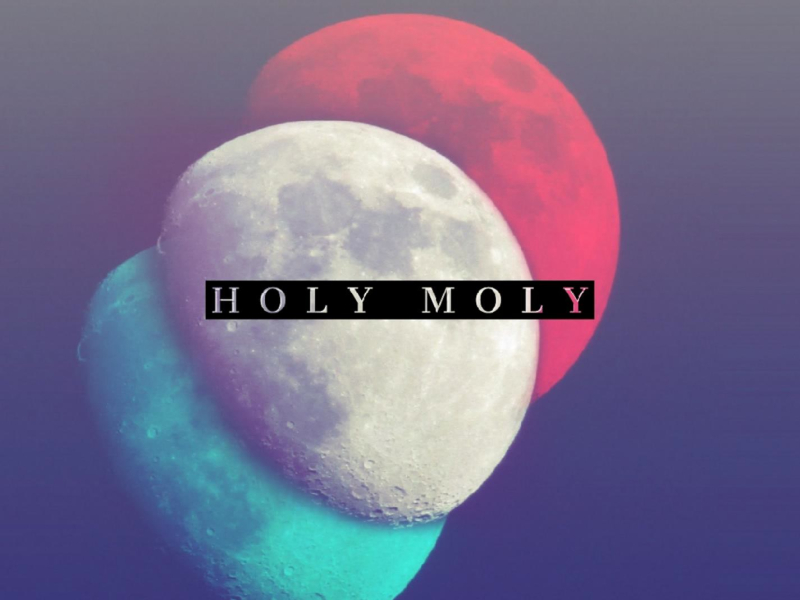 Evolution - Holy Moly (Single)
