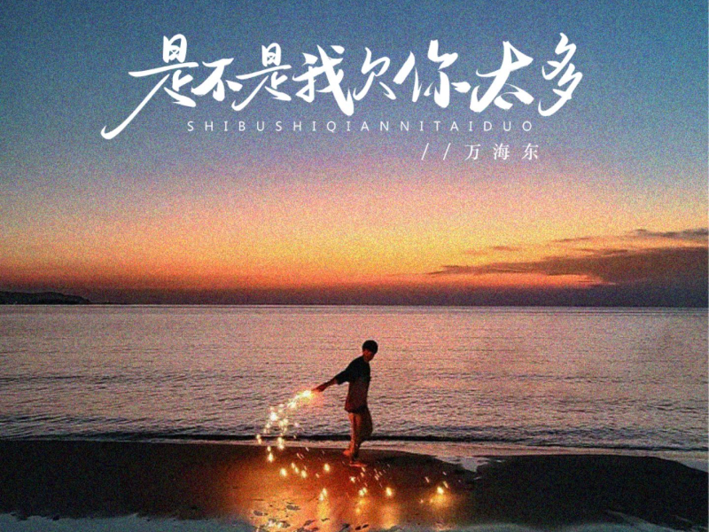 是不是我欠你太多 (Single)