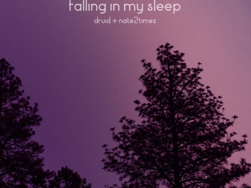 falling in my sleep (Single)