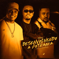DESENVOLVENDO A POTRANCA (Remix) (Single)
