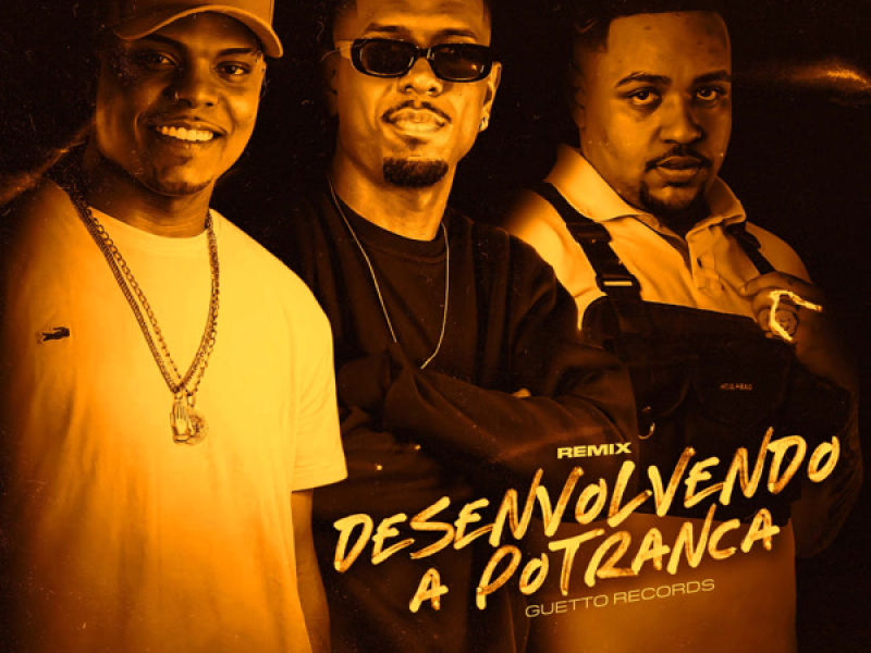 DESENVOLVENDO A POTRANCA (Remix) (Single)