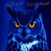 Open Your Heart (Single)