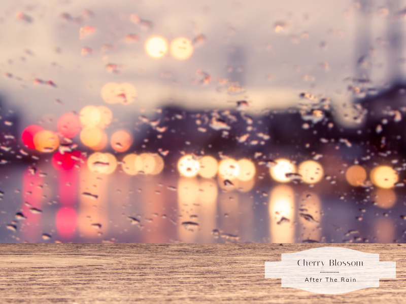 After The Rain (Single)