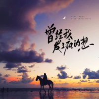 曾经我发了疯的想 (Single)