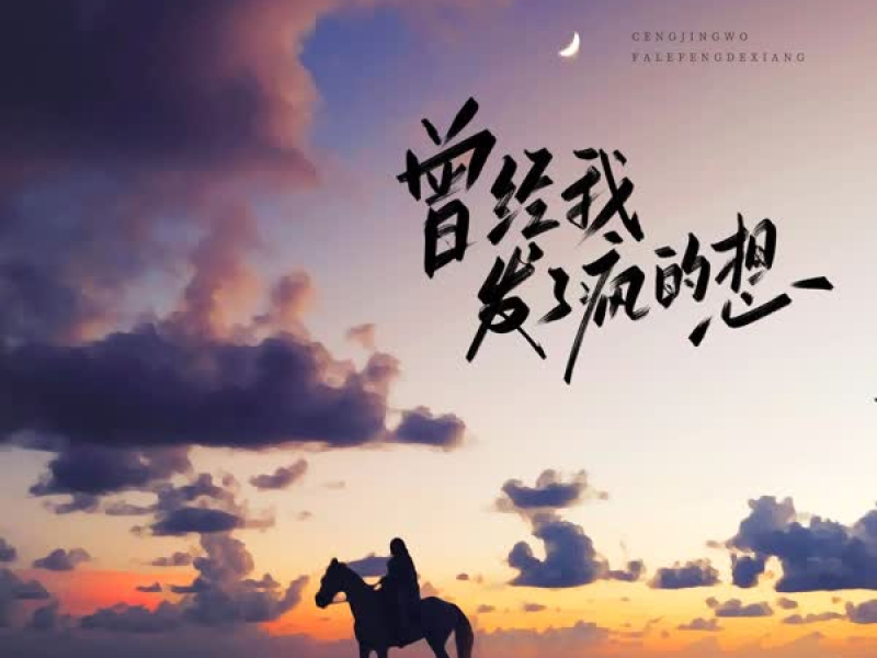 曾经我发了疯的想 (Single)