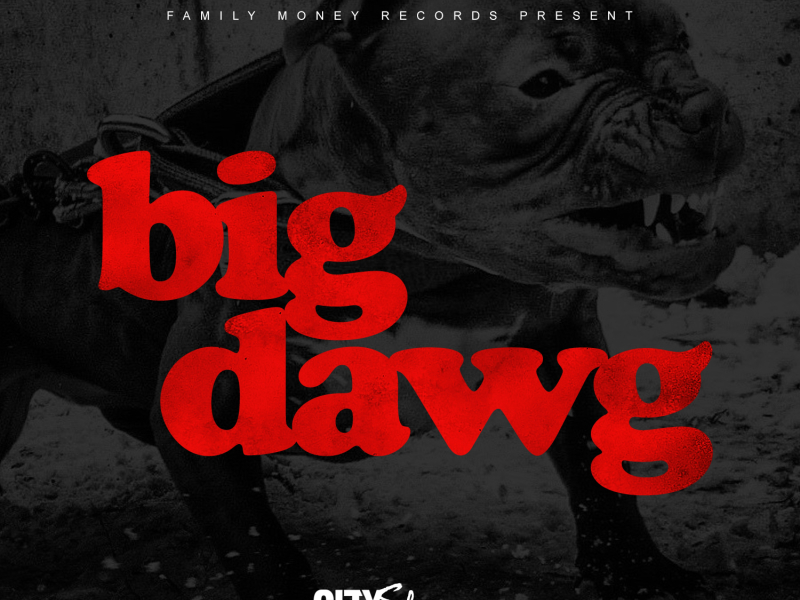 Big Dawg
