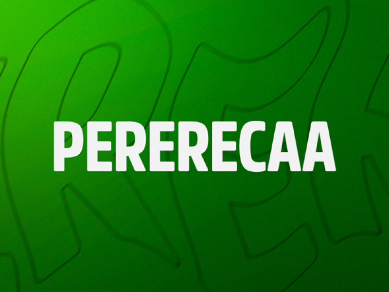 Pererecaa (Single)