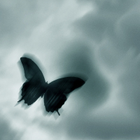 life’s a dream (Single)