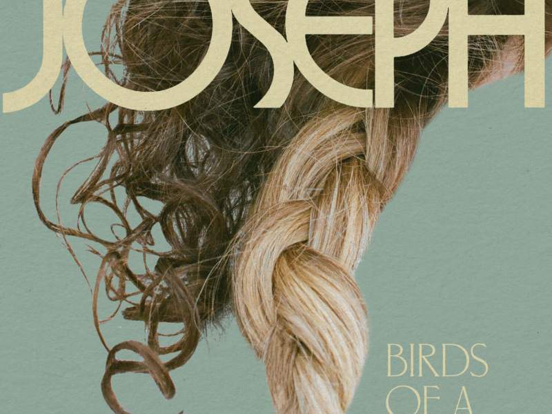 Birds of a Feather (Single)