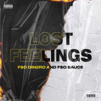 Lost Feelings (Single)