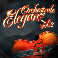 Orchestrale Eleganz Vol. 2: 100 unvergessene Lieder von einem Symphonie-Orchester gespielt