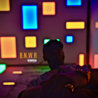 B.N.W.R