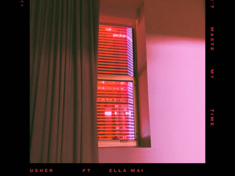 Don't Waste My Time (Single)