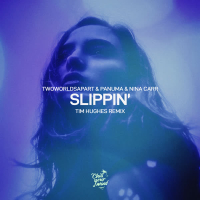 Slippin' (Tim Hughes Remix) (Single)