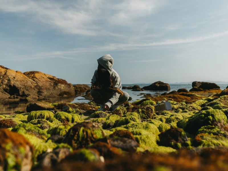 Just the Two of Us (Single)