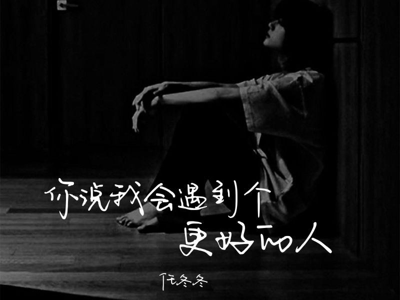 你说我会遇到个更好的人 (Single)