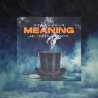 Meaning (Le Pedre Rework) (Single)