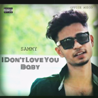 I Don't Love You Baby (Single)