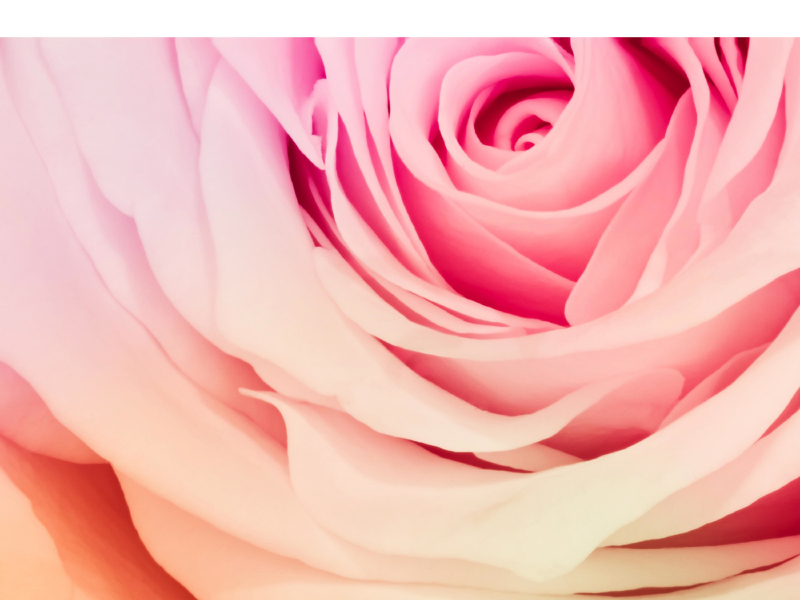 Give Me That Heart (Single)