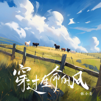 穿过生命的风 (Single)