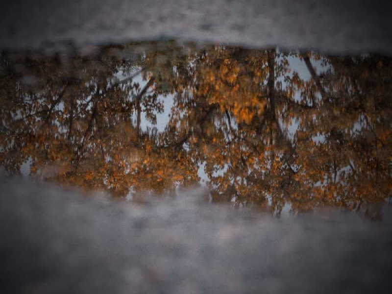 Walking in Puddles and Light Rain Sounds to Relieve Stress and Feel Calm (Single)