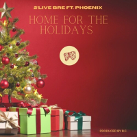 Home For The Holidays (feat. Phoenix) (Single)