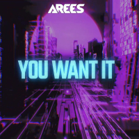 You Want It (Single)