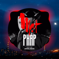 Mạt  Pháp (Sinkra Remix) (Single)