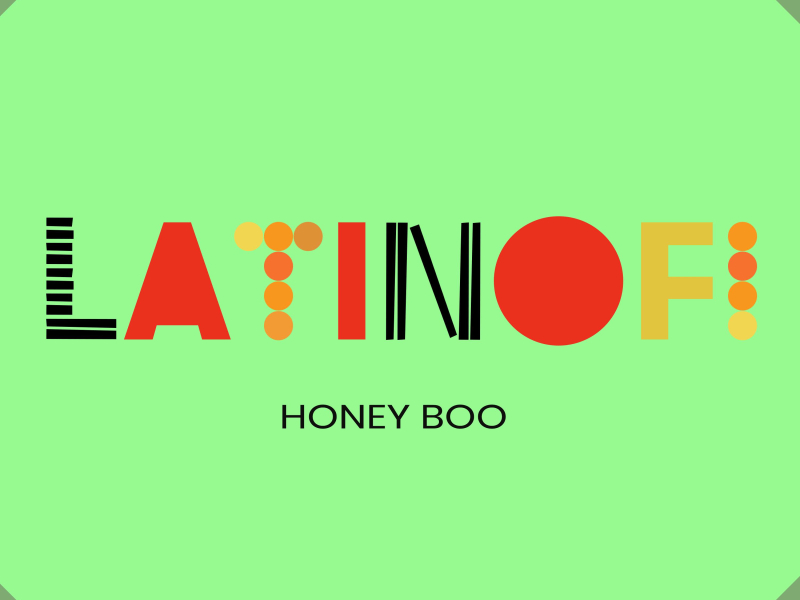 Honey Boo (lofi edit) (Single)