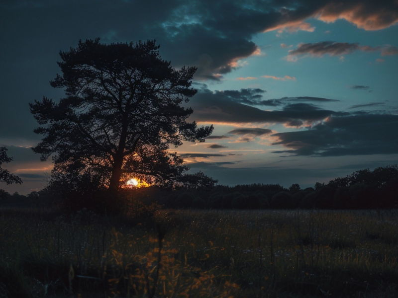 Przez Szeptem Zmierzchu (Single)