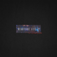 Beautiful Life II (Single)