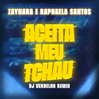 Aceita Meu Tchau (DJ Verdelho Remix) (Single)