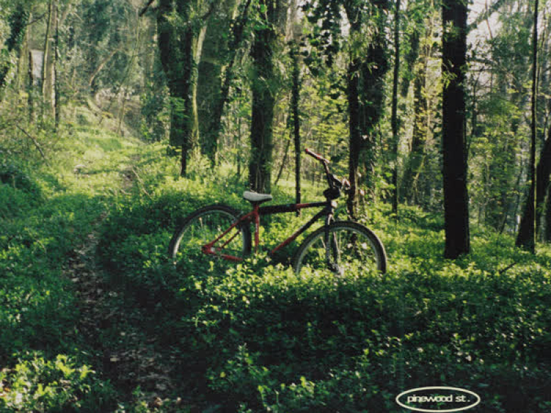 Pinewood St. (Single)
