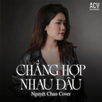 Chẳng Hợp Nhau Đâu (Single)