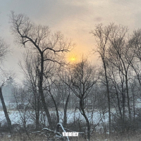 Just Resting My Eyes (Single)