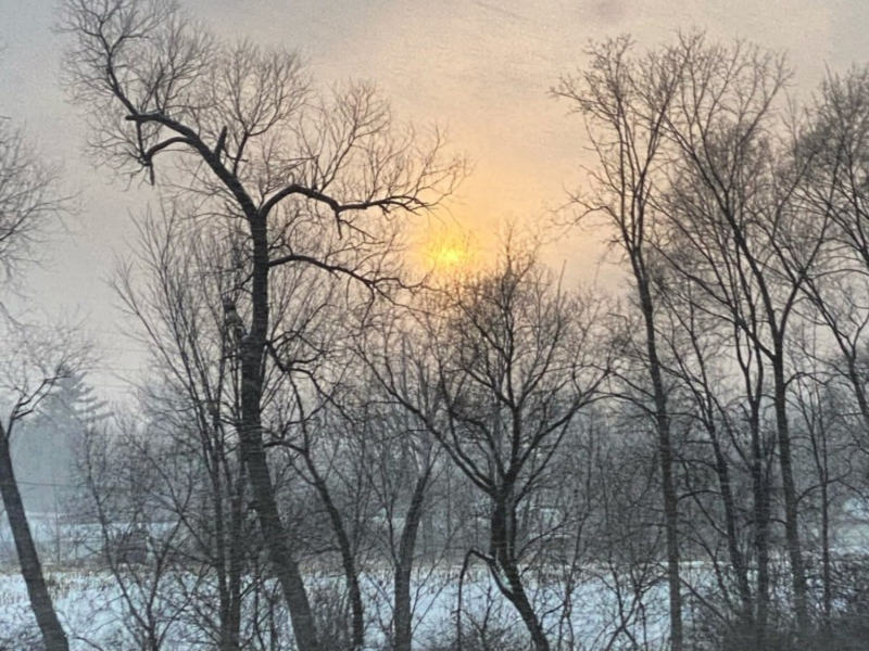 Just Resting My Eyes (Single)