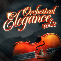 Orchestral Elegance, Vol. 2: 100 Unforgettable Songs by a Symphonic Orchestra