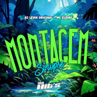 Montagem Sinopse (Single)