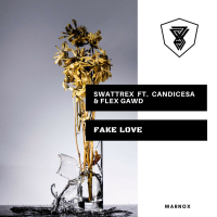 Fake Love (Single)