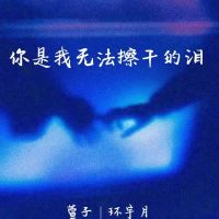 你是我无法擦干的泪 (Single)