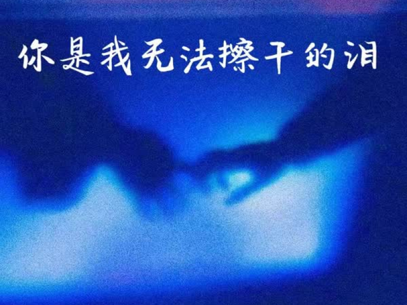 你是我无法擦干的泪 (Single)