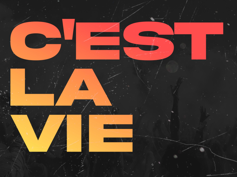 C'est La Vie (Hardstyle) (Single)