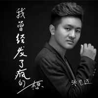 我曾经发了疯的想 (DJ默涵版) (Single)
