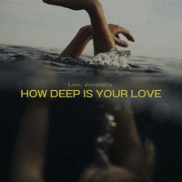 How Deep Is Your Love (Afro House) (Single)