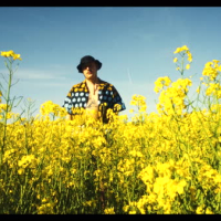 MEIN TEE WIRD LANGSAM KALT (MV) (Single)