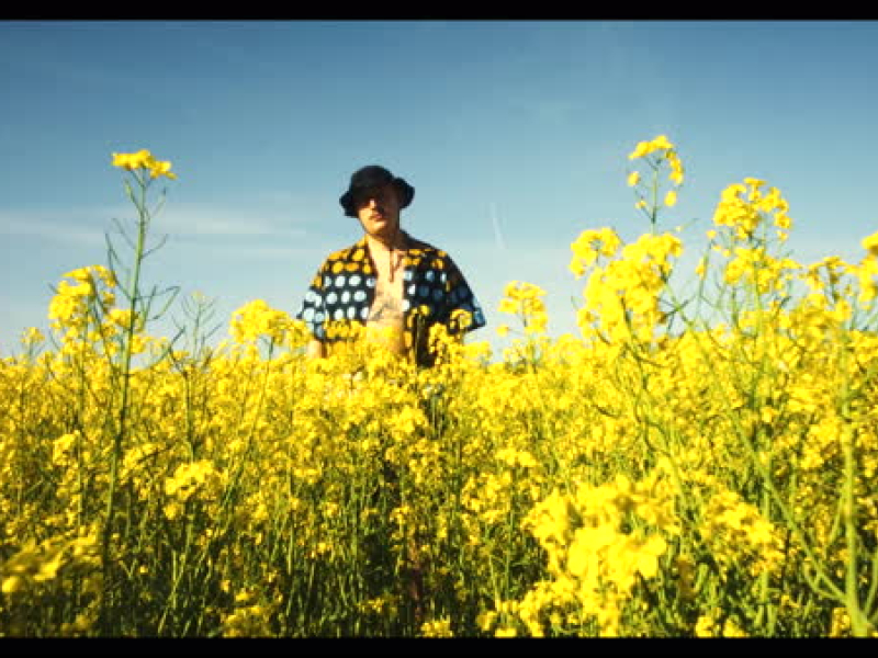 MEIN TEE WIRD LANGSAM KALT (MV) (Single)