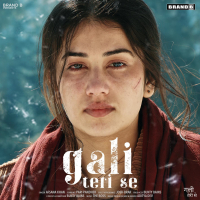 Gali Teri Se (Single)