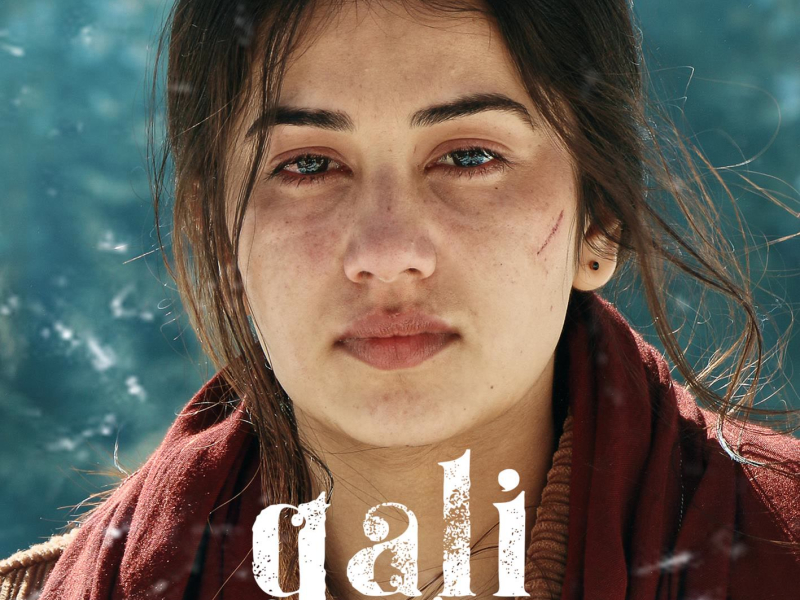 Gali Teri Se (Single)