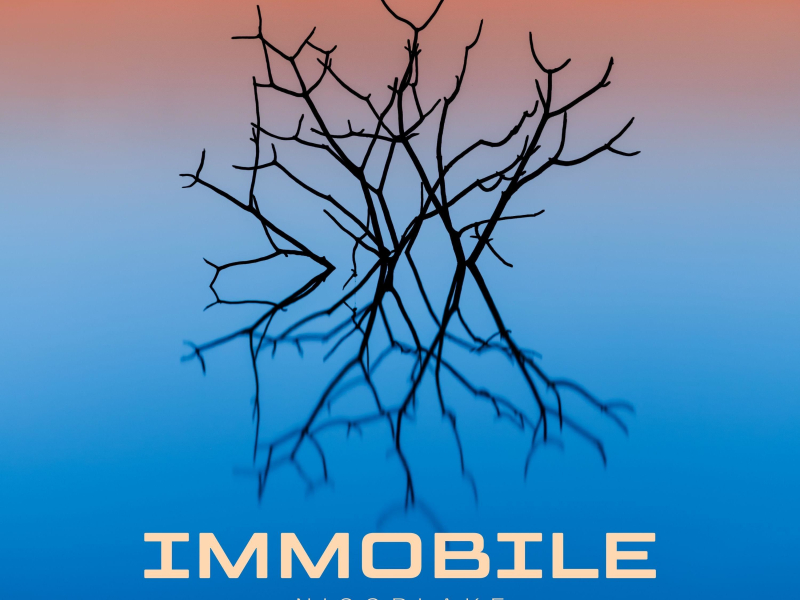 immobile (Single)