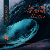 Surfing Acidized Waves (Single)